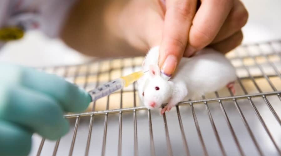  Testiranje novih vakcina na miševima PROPALO a odobrene su za davanje ljudima (Grafikon)