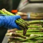 Rojters: Poljoprivrednici EU upozoravaju na nestašicu hrane