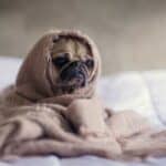 Ministri EU pozivaju na smanjenje potrošnje energije za 10%