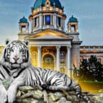 Ekonomski tigar "PROPO"! Javni dug Srbije najviši u poslednjih 20 godina