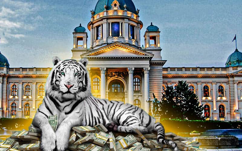  Ekonomski tigar “PROPO”! Javni dug Srbije najviši u poslednjih 20 godina