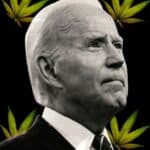 SVE ZA IZBORE! Bajden amnestirao ljude koji su osuđeni zbog posedovanja marihuane