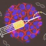 Neće biti izbora! NAUČNICI prave mRNK vakcinu protiv GRIPA