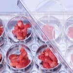 FDA odobrio upotrebu prvog VEŠTAČKI UZGAJANOG MESA- Najveći donori kompanije "Upside" su Bil Gejts i brat Ilona Maska