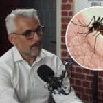 BOROJEVIĆ sve najavio pre pola godine! KREĆE NOVA HISTERIJA sa komarcima i to u NOVEMBRU (VIDEO)