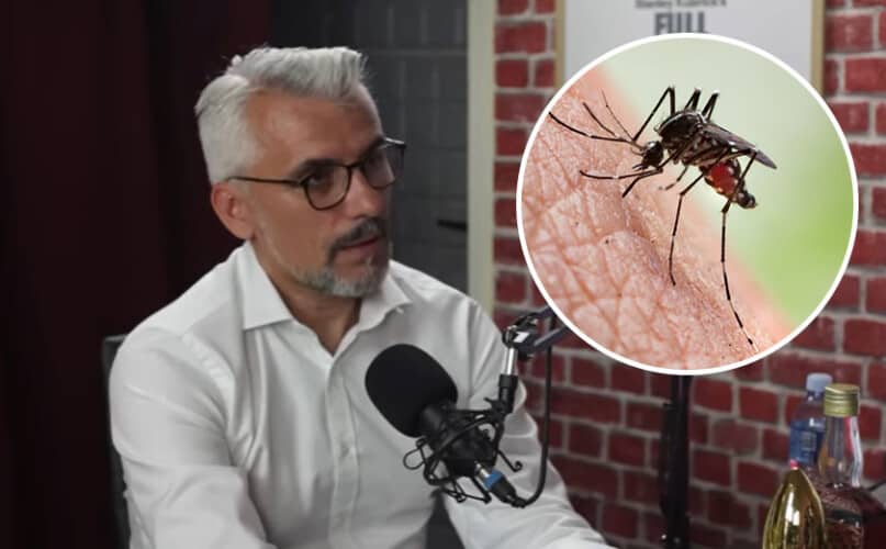  BOROJEVIĆ sve najavio pre pola godine! KREĆE NOVA HISTERIJA sa komarcima i to u NOVEMBRU (VIDEO)