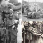 FLEŠBEK! U Briselu je LJUDSKI ZOO VRT zatvoren 1958. godine! U Evropi su crnci prikazivani kao životinje! To je bilo neprihvatljivo čak i za HITLERA