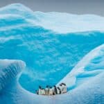 Južni pol dostiže rekordno hladne novembarske temperature