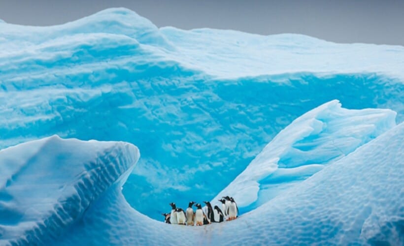  Globalno zagrevanje “PROPO”! Južni pol dostiže rekordno hladne novembarske temperature