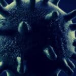 Nova studija se bavi cenzurom tokom Covid ere