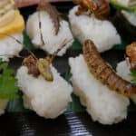 Vašington post ponovo pozvao Amerikance da im bube postanu glavna hrana