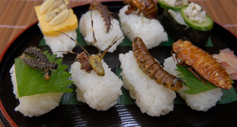 Vašington post ponovo pozvao Amerikance da im bube postanu glavna hrana