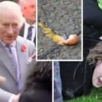 Mladić gađao jajima kralja Čarlsa i Kamilu: Ova zemlja je izgrađena na krvi robova(VIDEO)