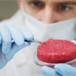 Italijanski ministar Poljoprivrede najavio zakon protiv hrane napravljene u laboratorijama