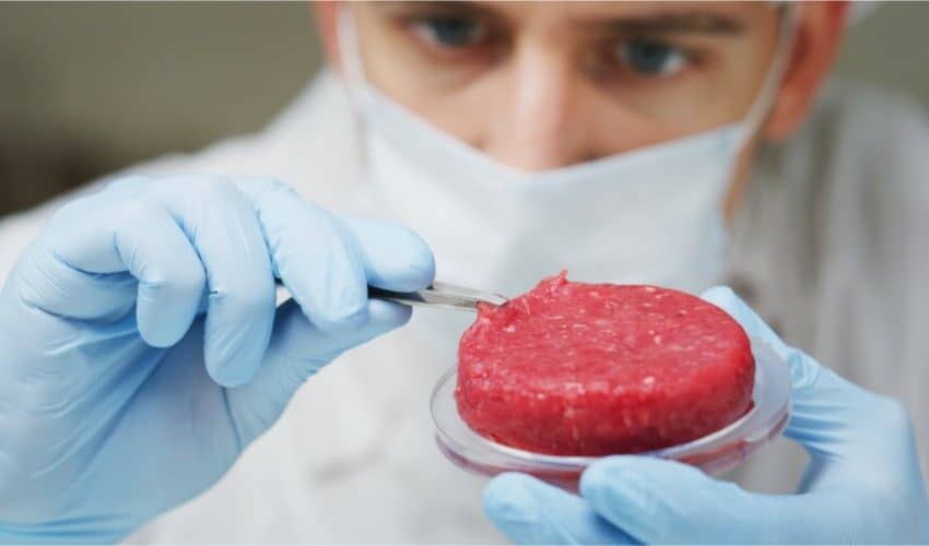  Italijanski ministar Poljoprivrede najavio zakon protiv hrane napravljene u laboratorijama