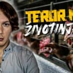 Opet izbio PTIČJI GRIP