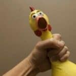 1.8 miliona pilića zaklano u Nebraski zbog ptičijeg gripa