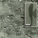 Dr Ljubić: Silicijum odlazi u istoriju! Ljudi moraju biti oprezni, stiže nam grafenska nanotehnologija!