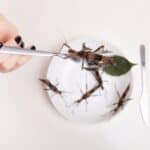 Globalisti: Do 2050. ljudi će morati da potpuno promene životne navike, ishrana će biti bazirana na algama i insektima