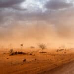 KLIMATSKE PROMENE važe samo za sirotinju- Milioni u Africi u mraku dok Evropa prodaje priču