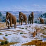 DNK star 2 MILIONA godina otkriva ARKTIČKU realnost koja pobija teoriju "Globalnog zagrevanja"