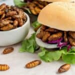 Hejs: Treba da se smrzavamo u mraku i hranimo insektima