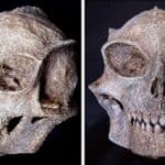 Arheolozi u Meksiku pronašli čak 13 vanzemaljskih lobanja