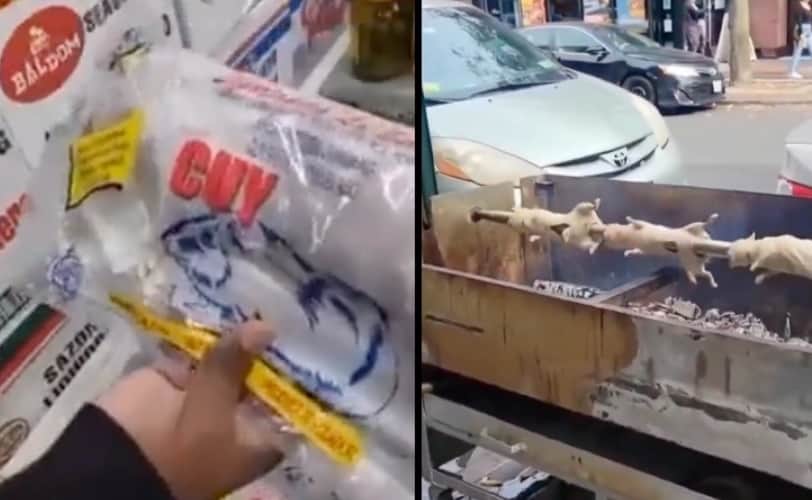  “Nemaština je globalna!” Žena šokirana dok se smrznuti glodari prodaju u radnji u Njujorku