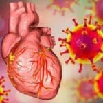 Ljudi su umrli od srčanih udara koje je uzrokovala mRNA-vakcina, nova recenzirana nemačka studija pruža direktne dokaze