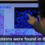 Japanski istraživači istražuju vezu između vakcina protiv Covida i smrti i teških neželjenih efekata