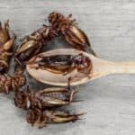 Od juče u EU građani jedu bube a da to ni ne znaju