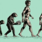 NIJE ŠALA! Njujork Tajms poziva čitaoce da IMAJU ODNOSE samo sa niskim ljudima kako bi se zautavile KLIMATSKE PROMENE