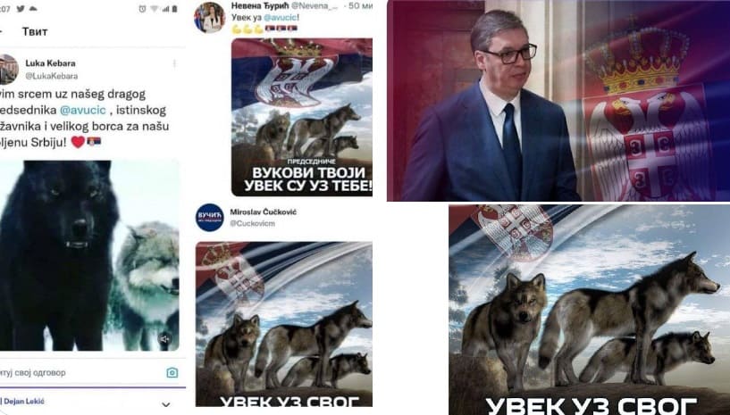  Oni su za lečenje! Naprednjaci ne prestaju da botuju po mrežama pružajući podršku Vučiću zbog Kosova- Nazivaju sebe vukovima