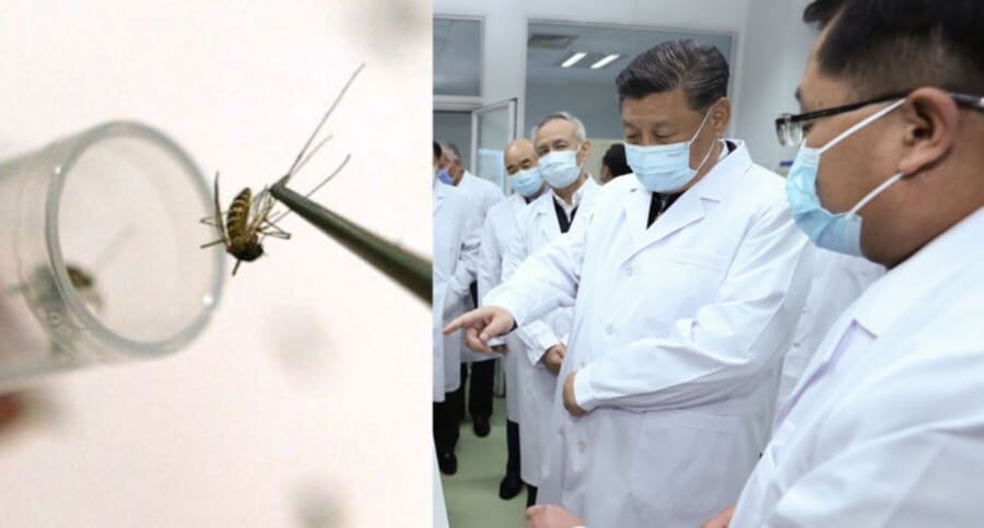 KINA započela eksperiment sa KOMARCIMA KOJI VAKCINIŠU populaciju bez ičijeg pristanka