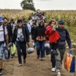 Invazija! Broj migranata muškog pola koji ulaze u Evropu na najvišem nivou od 2016