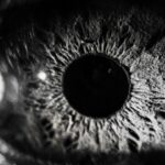 Indija dozvoljava bankama da koriste biometriju za potvrdu transakcija