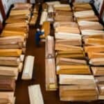 Pogrebne kuće u masovno vakcinisanoj NORVEŠKOJ prepune leševa