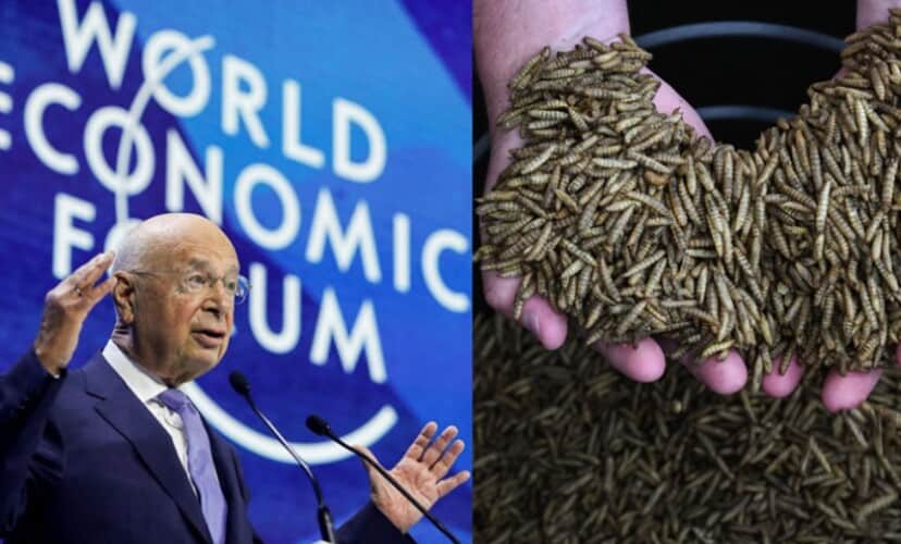  Istraživači podržavaju Svetski Ekonomski Forum: Masovna konzumacija crva i buba će “spasiti planetu”