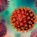 Najnovija studija: Spajk proteini napadaju vitalne organe i skraćuju život