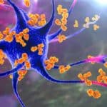 Vrhunski doktori otkrivaju da vakcine okreću naš imuni sistem protiv nas