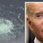 SAJMON HERŠ: Bajden je naredio da se SEVERNI TOK digne u vazduh!