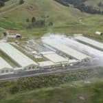 Slučajnost? Nikako! Izgorela farma jaja na Novom Zelandu i to u sred velike nestašice