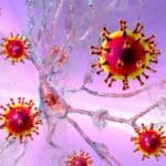 Nova zabrinjavajuća studija: Šteta na mozgu i srcu izazvana Covid vakcinama