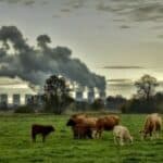 Još jedna suluda ideja globalista: Racionalizacija - Pravedniji način borbe protiv klimatskih promena?