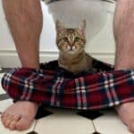 Novi paket sankcija Rusiji rasteže se od tehnologije do toaleta