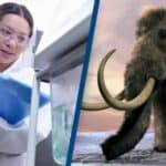 Igranje Boga ili naučno dostignuće? Naučnici pokušavaju da ponovo stvore mamuta