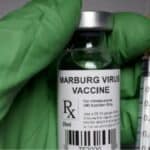 SZO se sprema za testiranje eksperimentalne vakcine protiv Marburg virusa