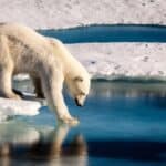 Totalno pogrešna predviđanja kulta globalnog zagrevanja