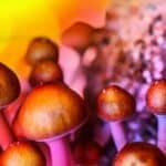 Australija: MDMA i magične pečurke odobrene za lečenje depresije