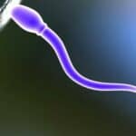 Naučnici razvijaju kontraceptivne pilule za MUŠKARCE kako bi zaustavili spermu